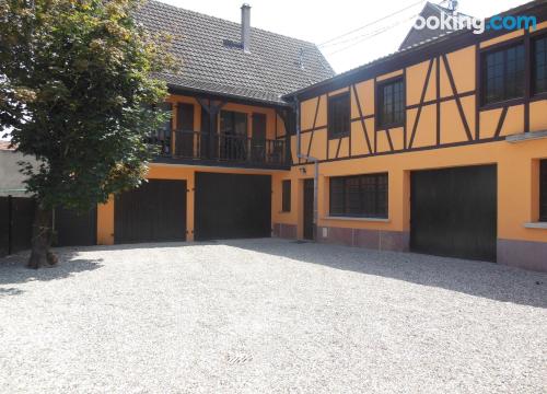 Grand appartement avec 3 chambres. À Ingersheim