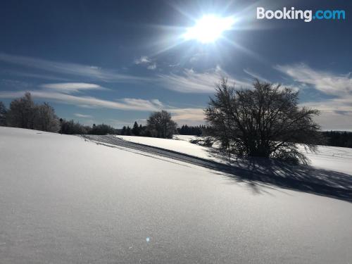 La Bresse vanuit uw raam! Verwarming en Wifi