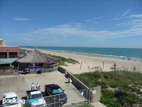 Pet friendly en South Padre Island.