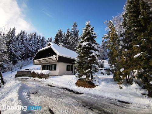 Wohnung mit Internet und Terrasse. In Cerkno