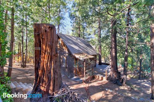 Apartamento em Idyllwild. Internet!