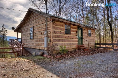 Cómodo apartamento en Sevierville. Apto para animales.