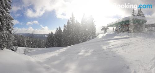 Appartement avec terrasse à Sankt Kathrein am Hauenstein.