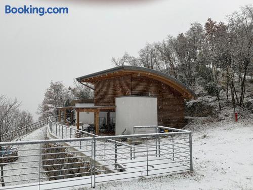 2-Zimmer-Appartement. Haustier erlaubt