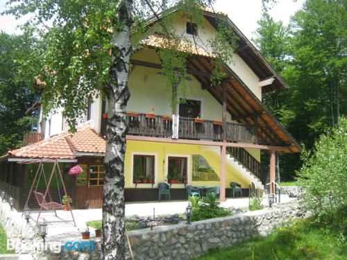 1 bedroom apartment apartment in Zlatibor with internet.