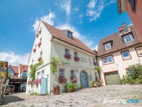 Zentrale Wohnung. Haustier erlaubt!