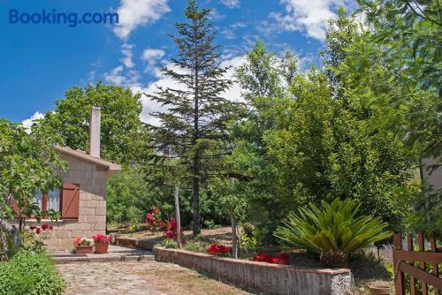 Apartamento cães bem-vindos à Pisciotta. Terraço!