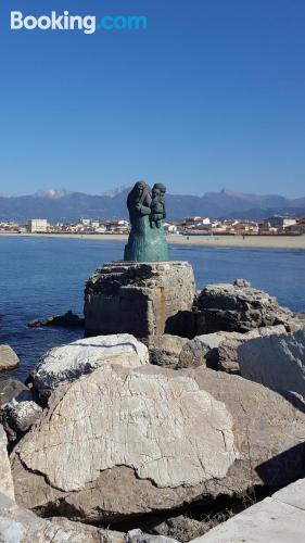 Viareggio, dans le centre. Adapté pour les chiens