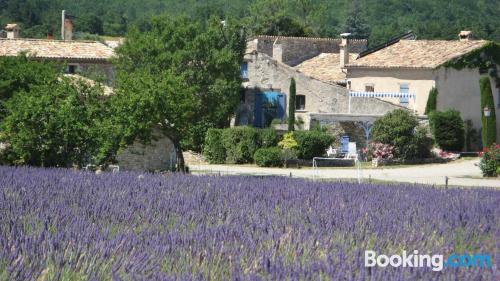 Apartamento em Sault-de-Vaucluse. Piscina e terraço.