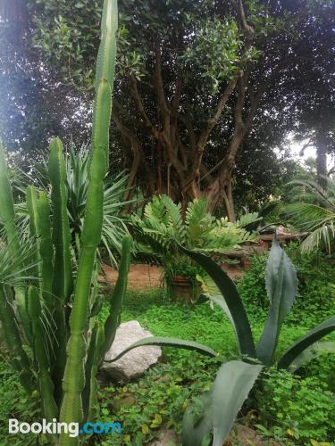 Grande apartamento. Terraço!.