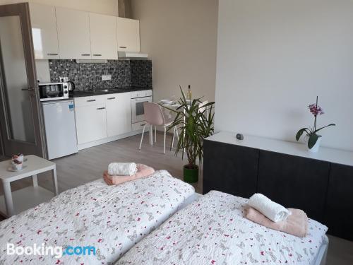 Apartamento con internet en Praga