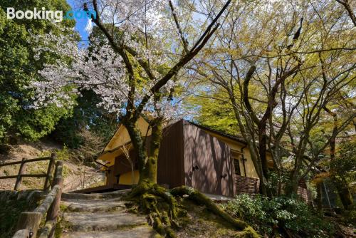 Place in Miyajima. Great!