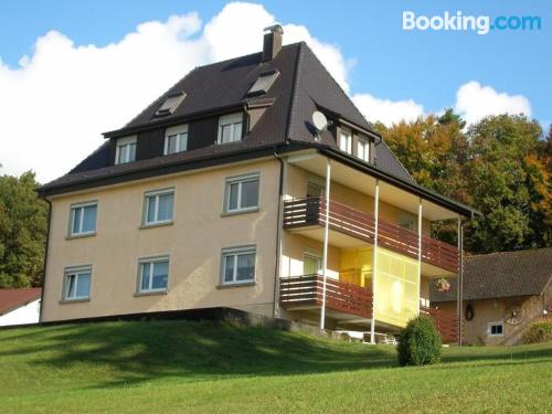 Stay in Uhldingen-Mühlhofen. Pet friendly