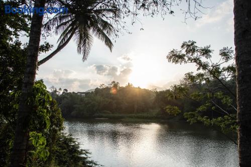 App in Kandy. Terras en internet