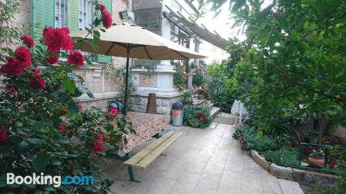 Haustier erlaubt Wohnung. In Jerusalem