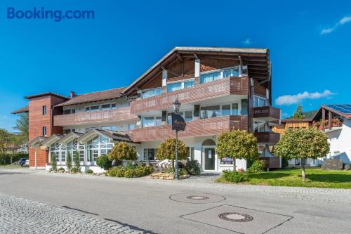 Honden welkom appartement. Terras en Wifi