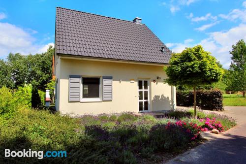 Appartement met verwarming. Huisdieren toegestaan