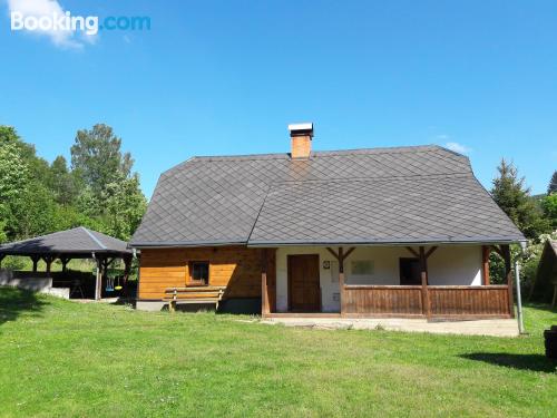  Ferienwohnung in Svetla Hora. Haustier erlaubt