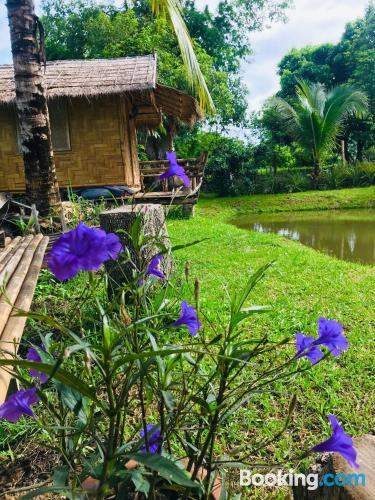 Chiang Rai aan zijn voeten! Met Wifi!