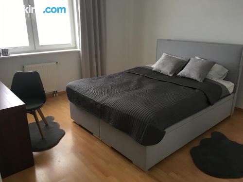 One bedroom apartment in best location. Reda from your window!