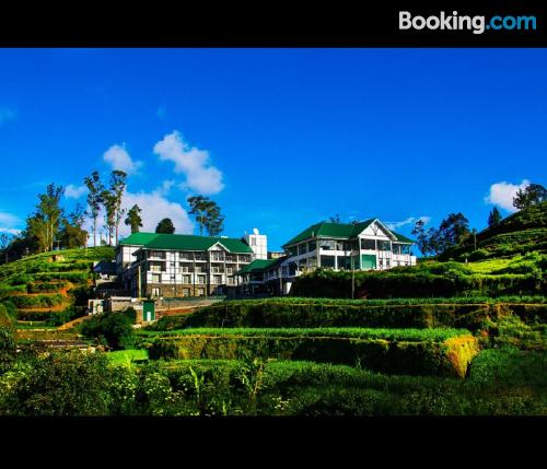 Nuwara Eliya à vos pieds,. Terrasse!.