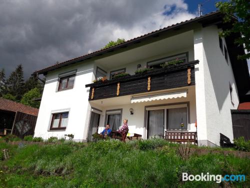 Wohnung mit Balkon. In Neuschönau