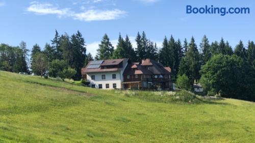 Apartamento com internet em Reichenfels.