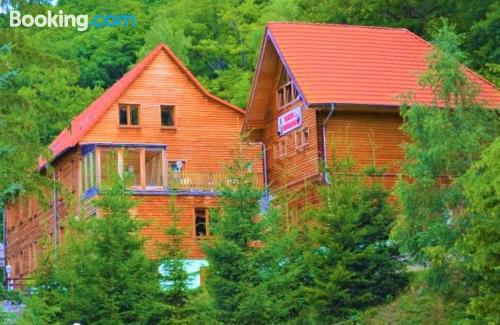 Wohnung mit Terrasse. Tierfreundlich