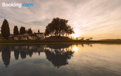 Studio tierfreundlich. In Gambassi Terme