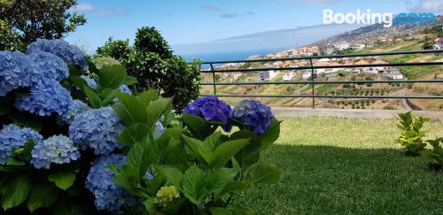 Appartement avec Wifi à Arco da Calheta