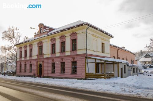 Animaux acceptés appartement! À Svoboda nad Úpou