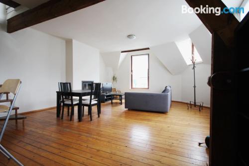 Pets allowed 1 bedroom apartment in Brussels.