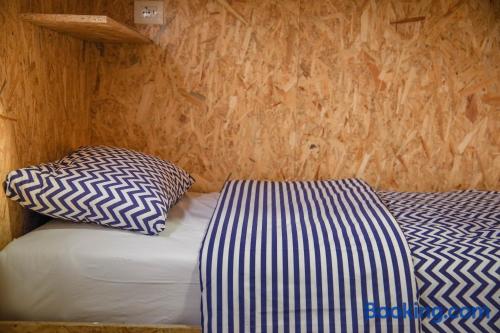 Cama en habitación compartida mixta de 6 camas