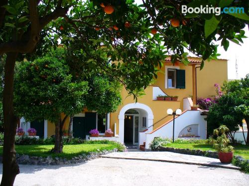 Wohnung mit Terrasse. In Ischia