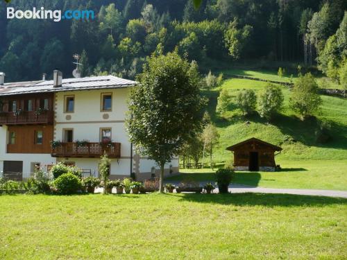 Ferienwohnung für Paare. Haustier erlaubt