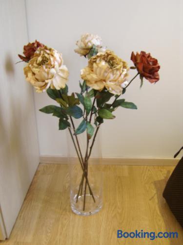 Hotel Alexander - Alojamientos en CESENA