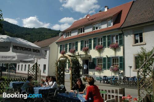 Apartment in Hornberg in incredible location