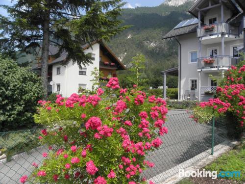 Appartement avec terrasse à Presseggersee