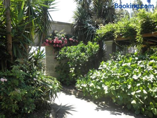 Hotel Playa De Vigo - Alojamientos en VIGO