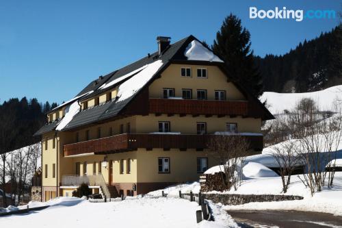 Ferienwohnung mit Terrasse. In Tauplitz