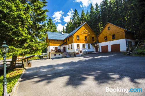 Wohnung in Harrachov. Internet und Terrasse