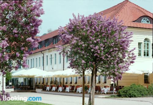 Appartement met terras. Dresden is votrer!