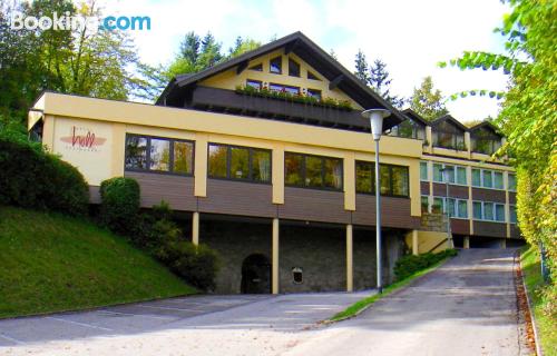 Dog friendly apartment in Schongau in best location