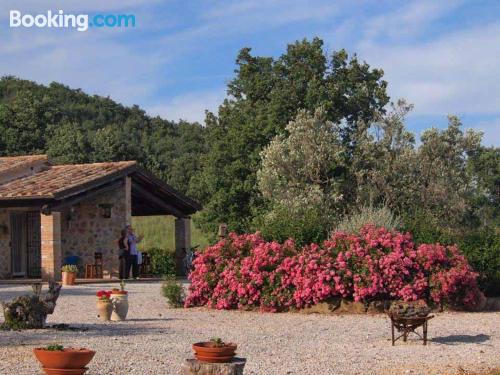 1 bedroom apartment place in Manciano with internet.
