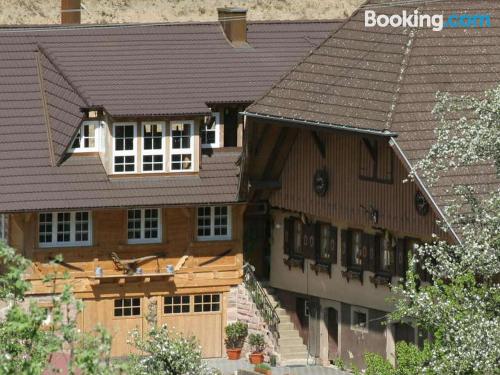 Apartamento de dos dormitorios en Oberharmersbach con terraza