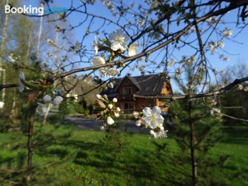 Wohnung in Rzyki, ideal für Gruppen