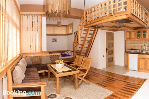 Apartment in Mokra Gora with terrace