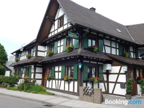 Ferienwohnung in Willstätt. Tierfreundlich