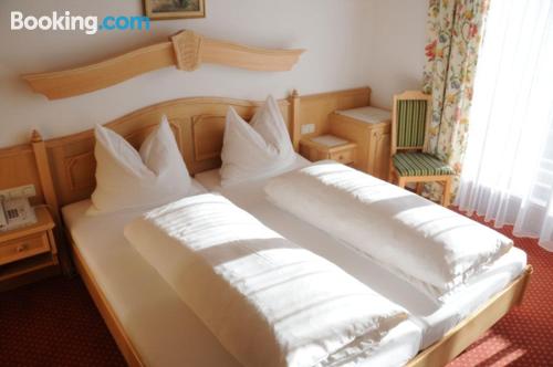 Appartamento con una camera da letto pet friendly. 26m2!