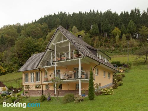 Appartement à Oberwolfach. Idéal!